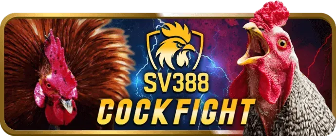 Hỗ trợ chat trực tuyến 24/7 của win456 win