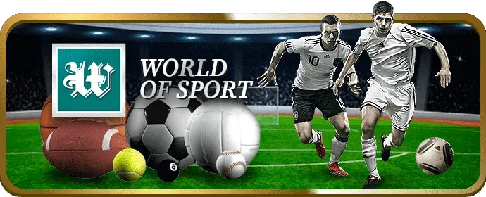 Đá Gà Thomo Trực Tuyến win456 win